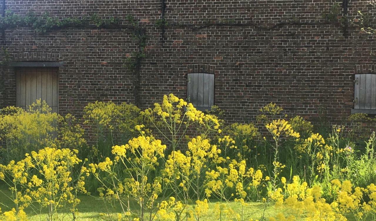 Het Zwaantje Londerzeel Exterior foto