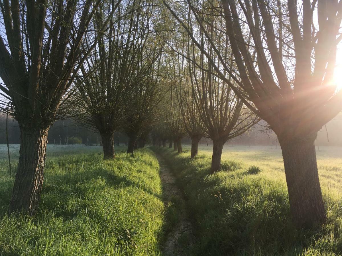 Het Zwaantje Londerzeel Exterior foto